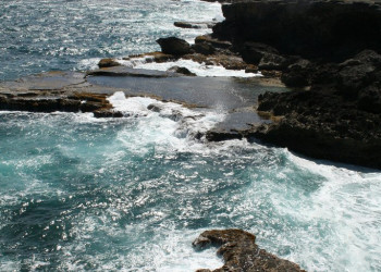 Animal Flower Cave, Barbados – фотографии Барбадоса