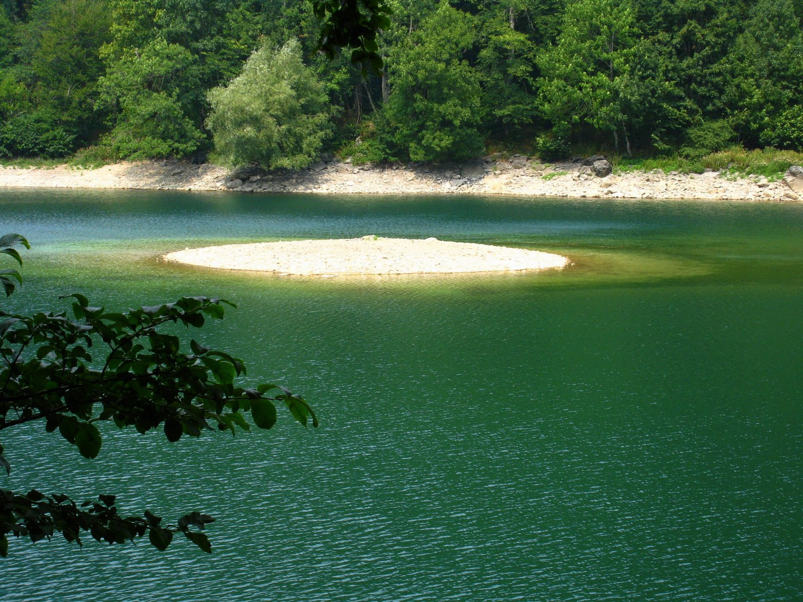 Озеро в Национальном парке, Черногория. Фото 12 – фотографии Черногории