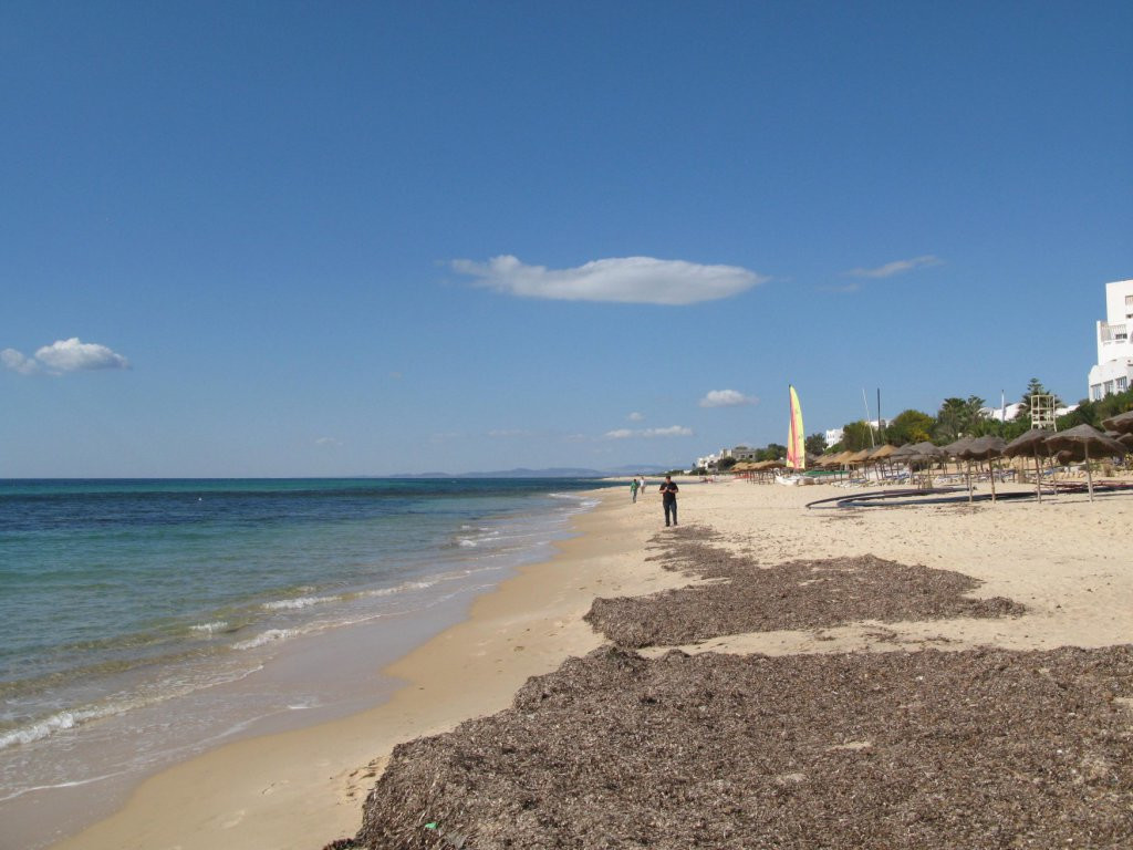 Пляж в Северном Тунисе. Фото 28 – фотографии Туниса