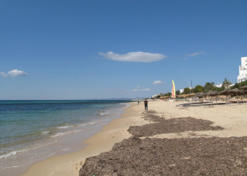 Пляж в Северном Тунисе. Фото 28 – фотографии Туниса