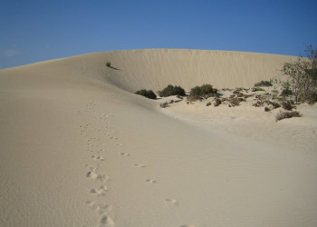 Корралехо, Фуэртевентура остров, Канарские острова, фото № 34113 – фотографии Канарских островов