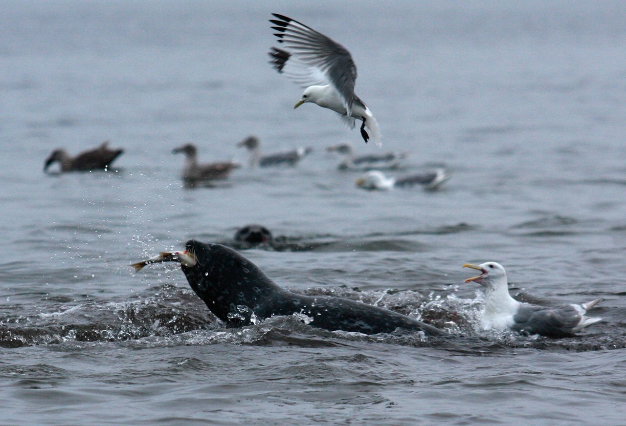 Уголок природы. Фото 1 – фотографии России