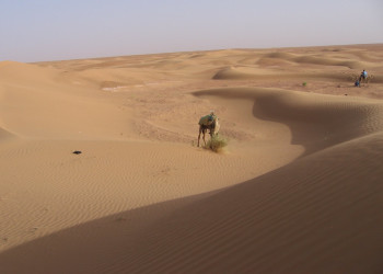 Загора, Марокко, фото № 7474 – фотографии Марокко