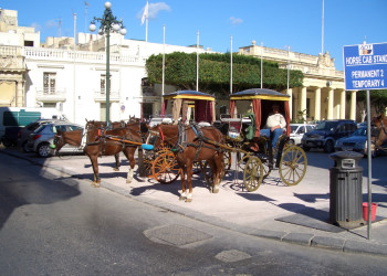 Валлетта, Мальта остров, Мальта, фото № 42103 – фотографии Мальты