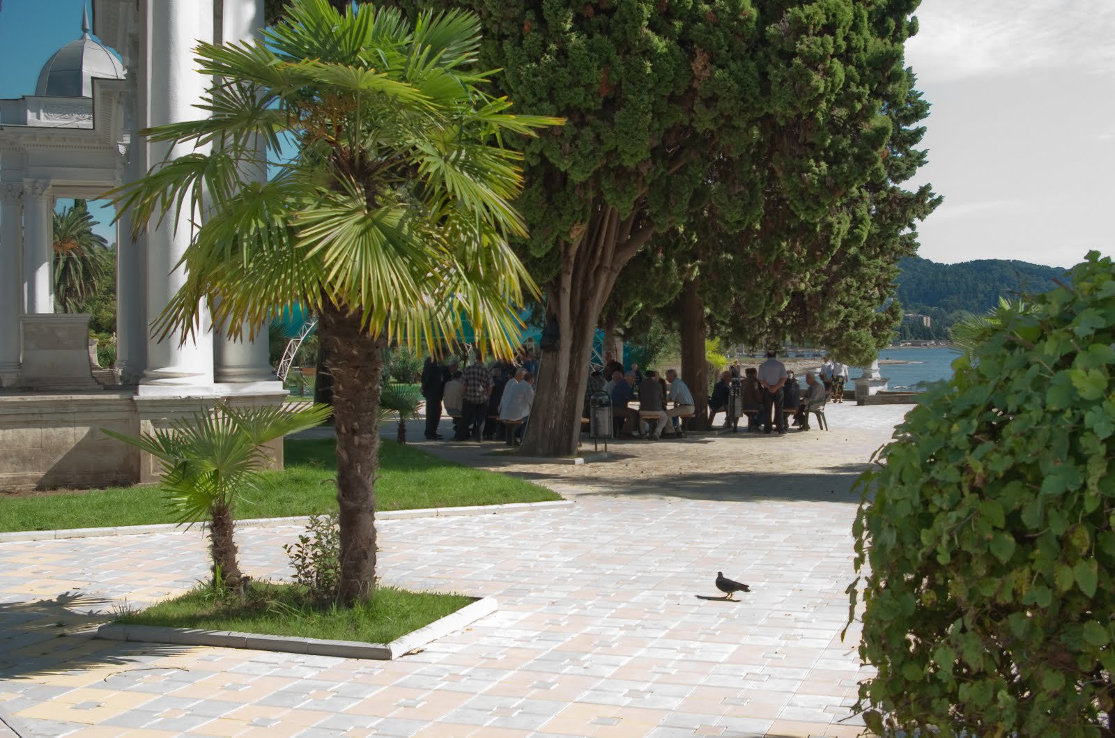 Набережная в Абхазии. Фото 1 – фотографии Абхазии