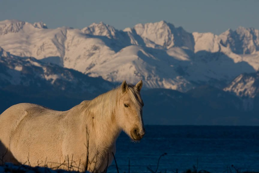 Аляска штат, США, фото № 67717 – фотографии США