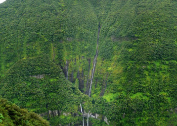 Сен-Бенуа, Реюньон, фото № 25878 – фотографии Реюньона