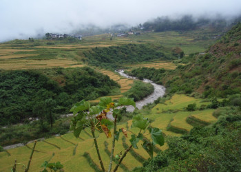Бутан, фото № 4698 – фотографии Бутана