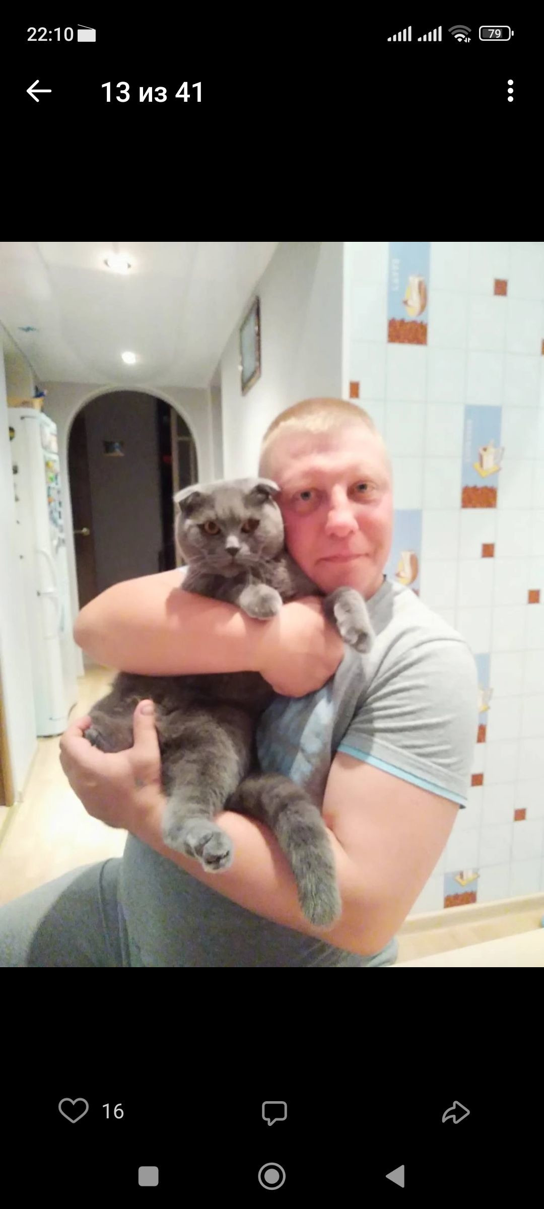 Кот – фотографии