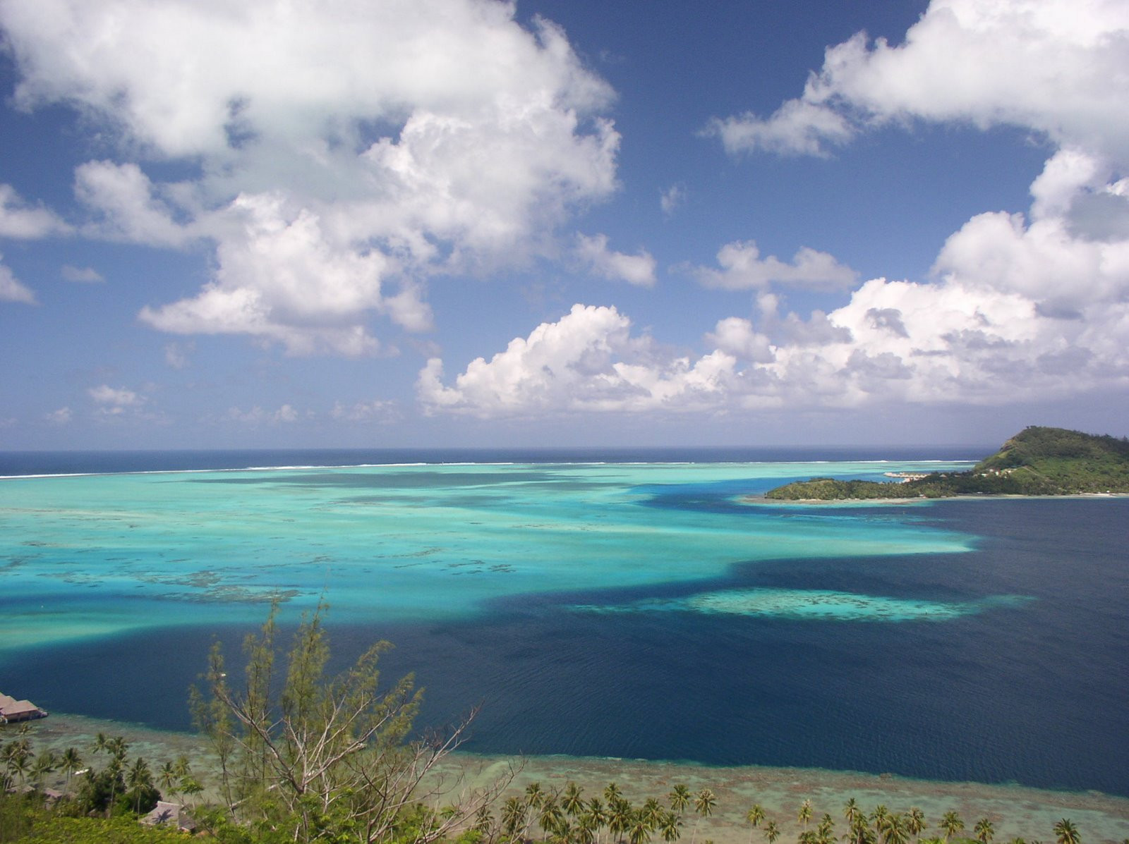 Бора-Бора остров, Общества острова, Французская Полинезия, фото № 66986 – фотографии Французской Полинезии