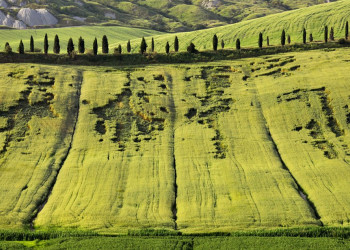 Тоскана, Италия, фото № 77939 – фотографии Италии
