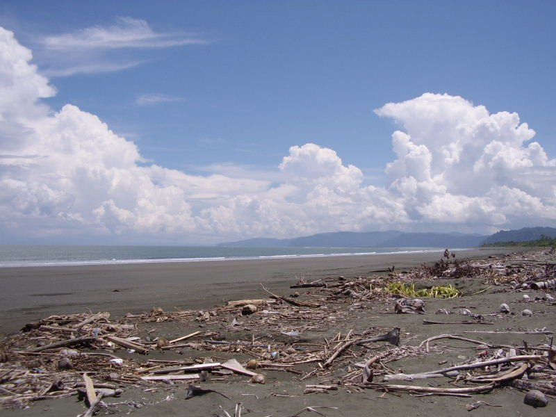 Плайа Занкудо, Пунтаренас провинция, Коста-Рика, фото № 40919 – фотографии Коста-Рики