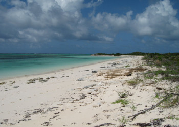 Caicos Islands – фотографии Тёркс и Кайкос