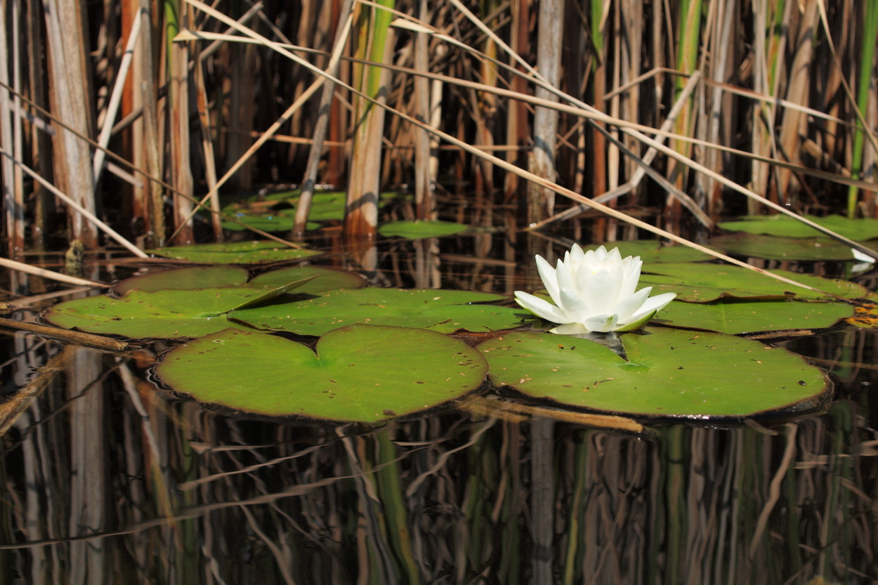 Ещё один классный кадр – фотографии Австрии