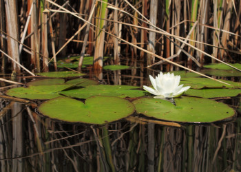 Ещё один классный кадр – фотографии Австрии