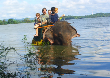 Кандалама, Шри-Ланка, фото № 51290 – фотографии Шри-Ланки