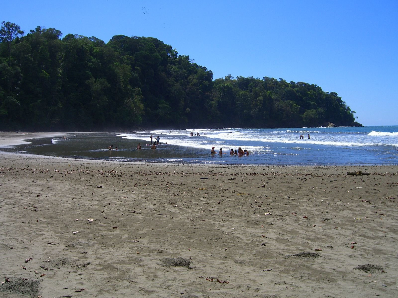 Доминикаль, Пунтаренас провинция, Коста-Рика, фото № 40474 – фотографии Коста-Рики