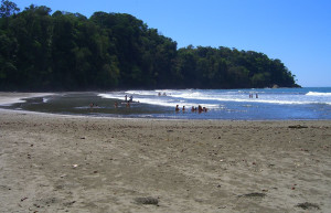 Доминикаль, Пунтаренас провинция, Коста-Рика, фото № 40474 – фотографии Коста-Рики