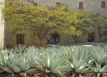 Мексика, фото № 902 – фотографии Мексики