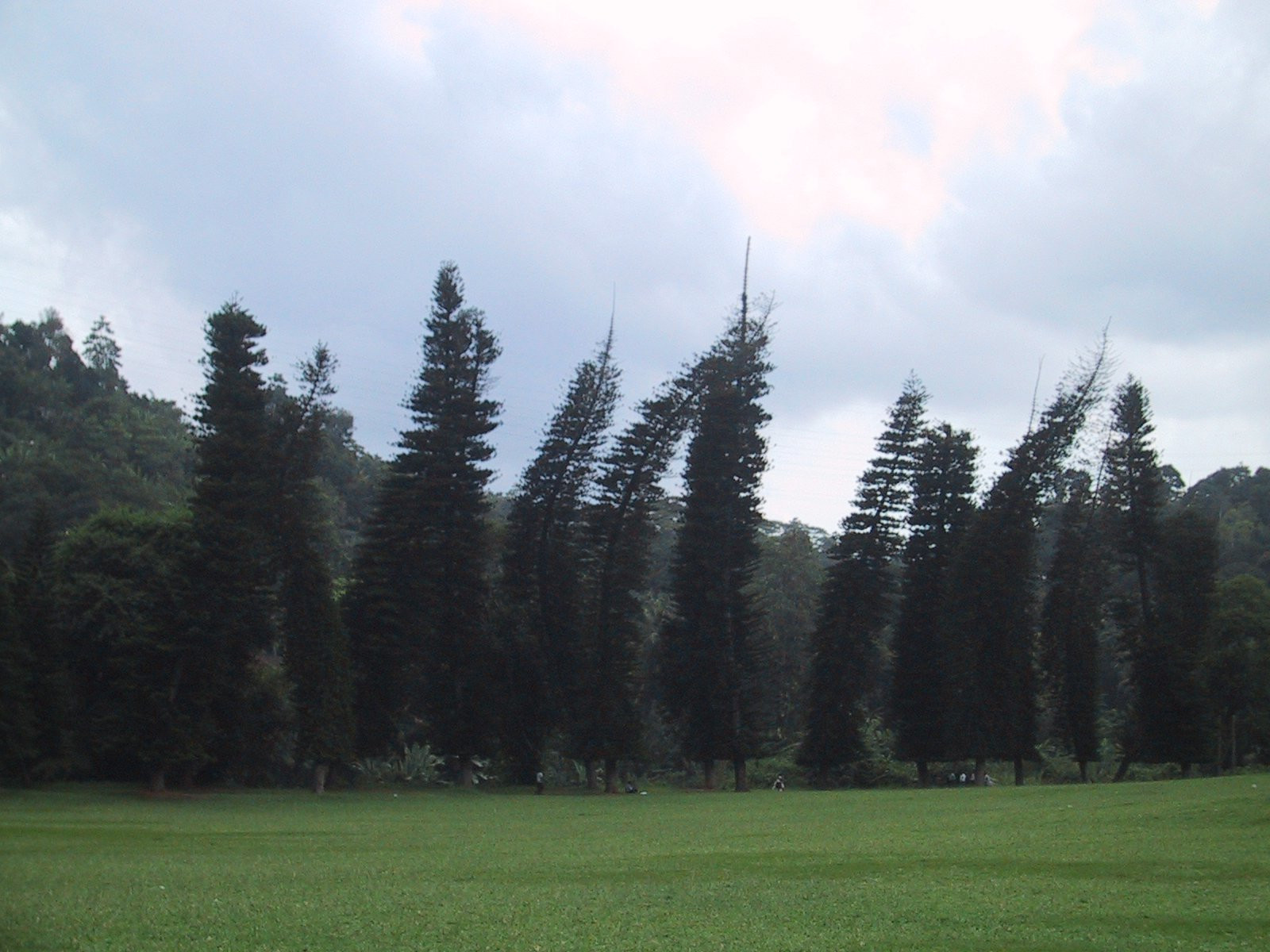 Канди, Шри-Ланка, фото № 51323 – фотографии Шри-Ланки