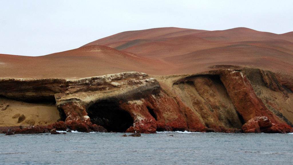 Природа Паракаса – фотографии Перу