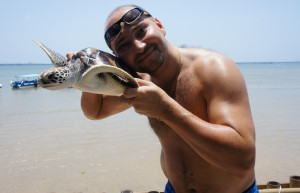 2012 октябрь. Бали – фотографии Индонезии