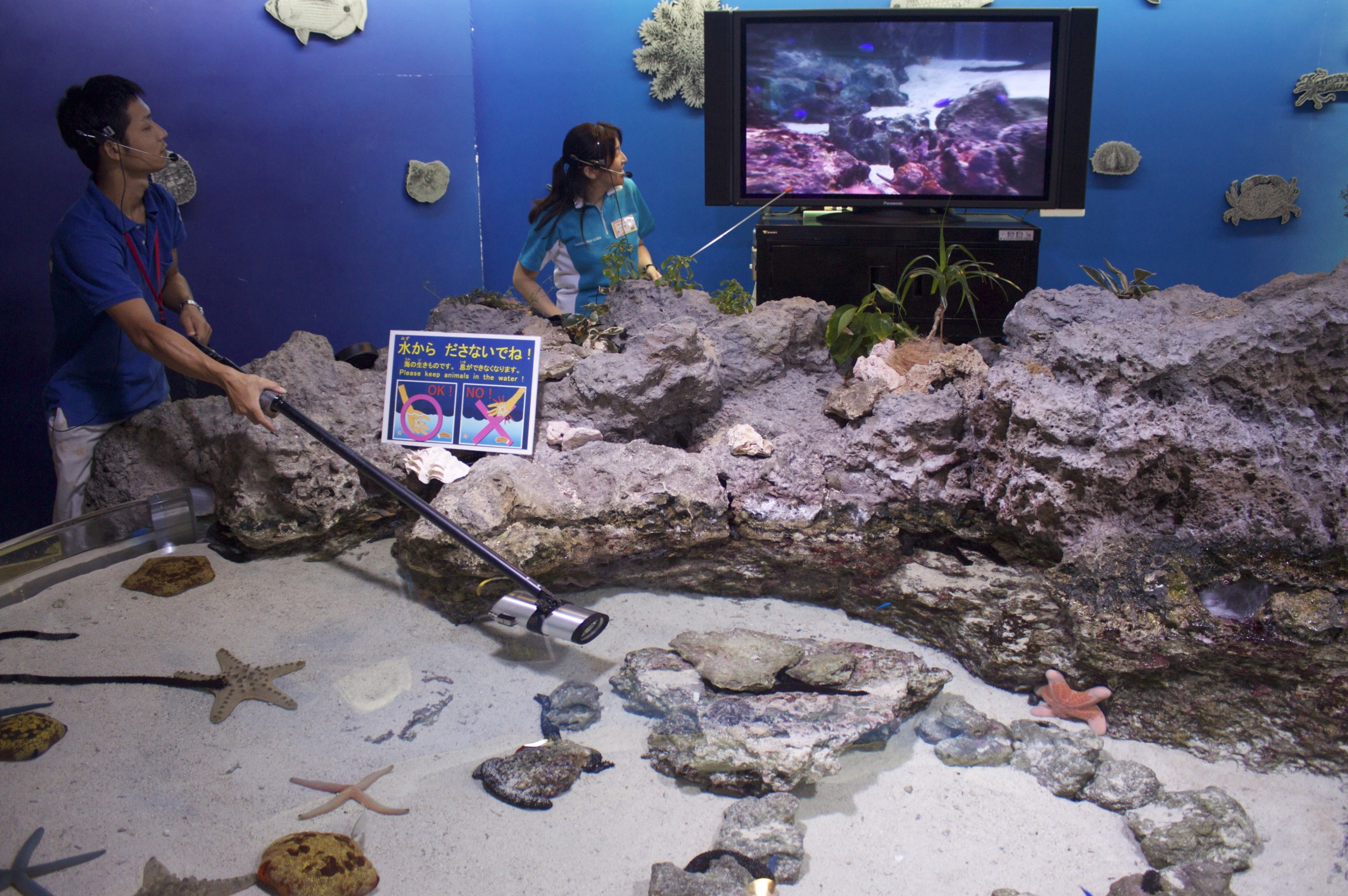 Экскурсия в «Окинава Тюрауми» – фотографии Японии