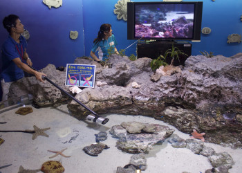 Экскурсия в «Окинава Тюрауми» – фотографии Японии