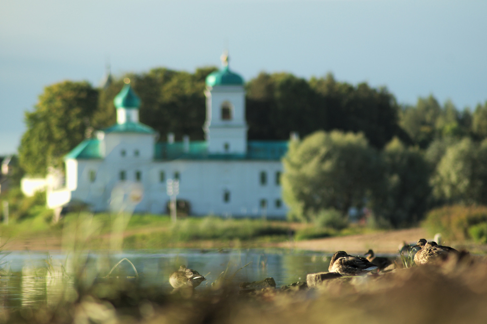 Белые церкви Пскова. Фото 1 – фотографии России