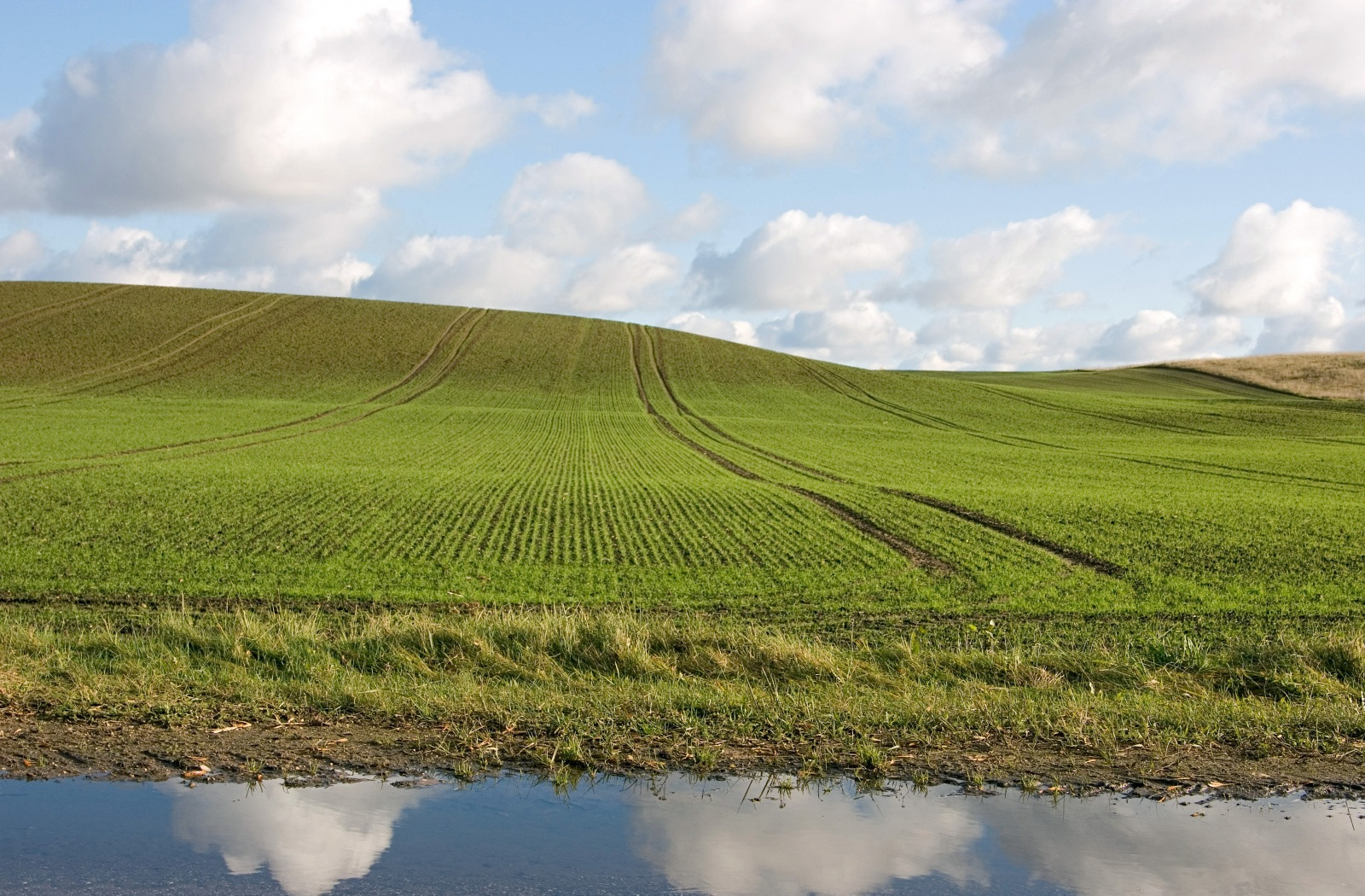 Поля в Латвии – фотографии Латвии