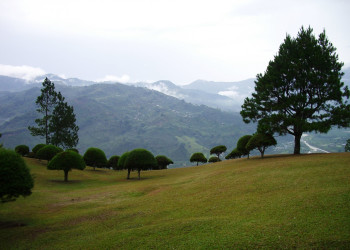 Ороси, Картаго провинция, Коста-Рика, фото № 39188 – фотографии Коста-Рики