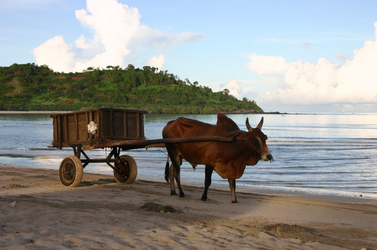 Мадагаскар, фото № 2137 – фотографии Мадагаскара