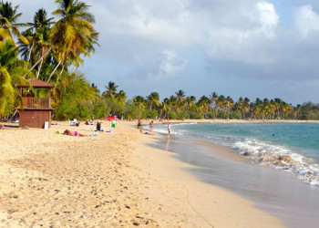 Пляж Лес-Салинес на Мартинике – фотографии Мартиники