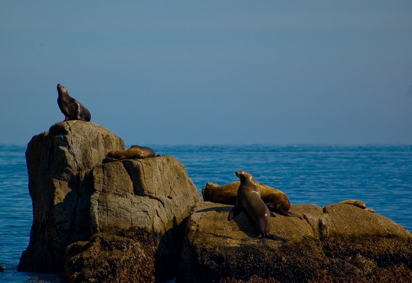Аляска штат, США, фото № 67670 – фотографии США