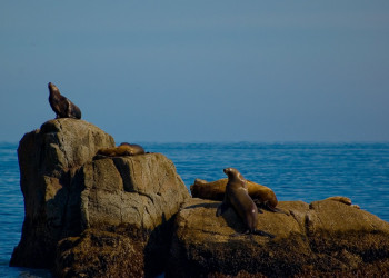 Аляска штат, США, фото № 67670 – фотографии США