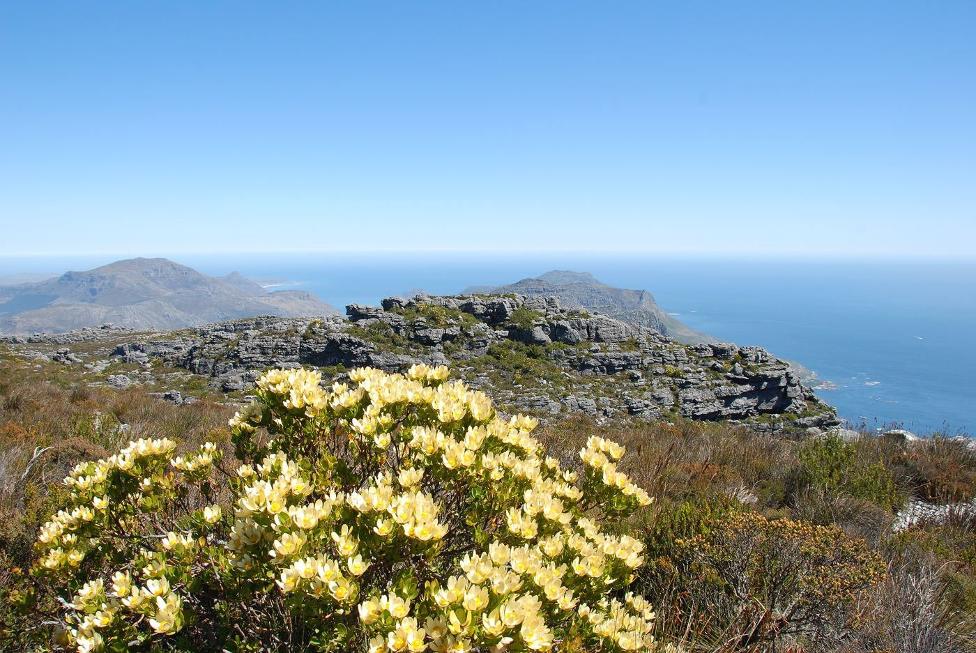 Table_mountain – фотографии ЮАР