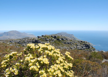 Table_mountain – фотографии ЮАР