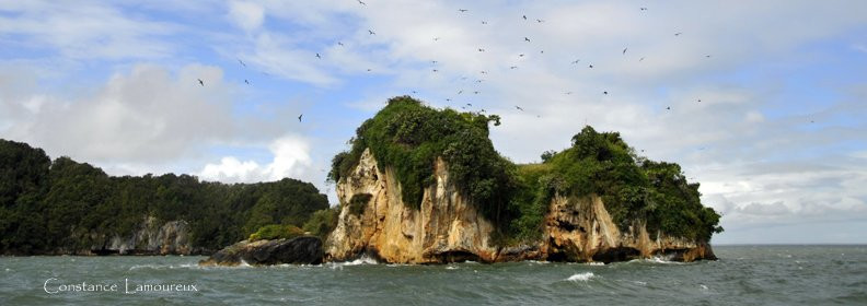 Самана, Доминикана, фото № 30626 – фотографии Доминиканы