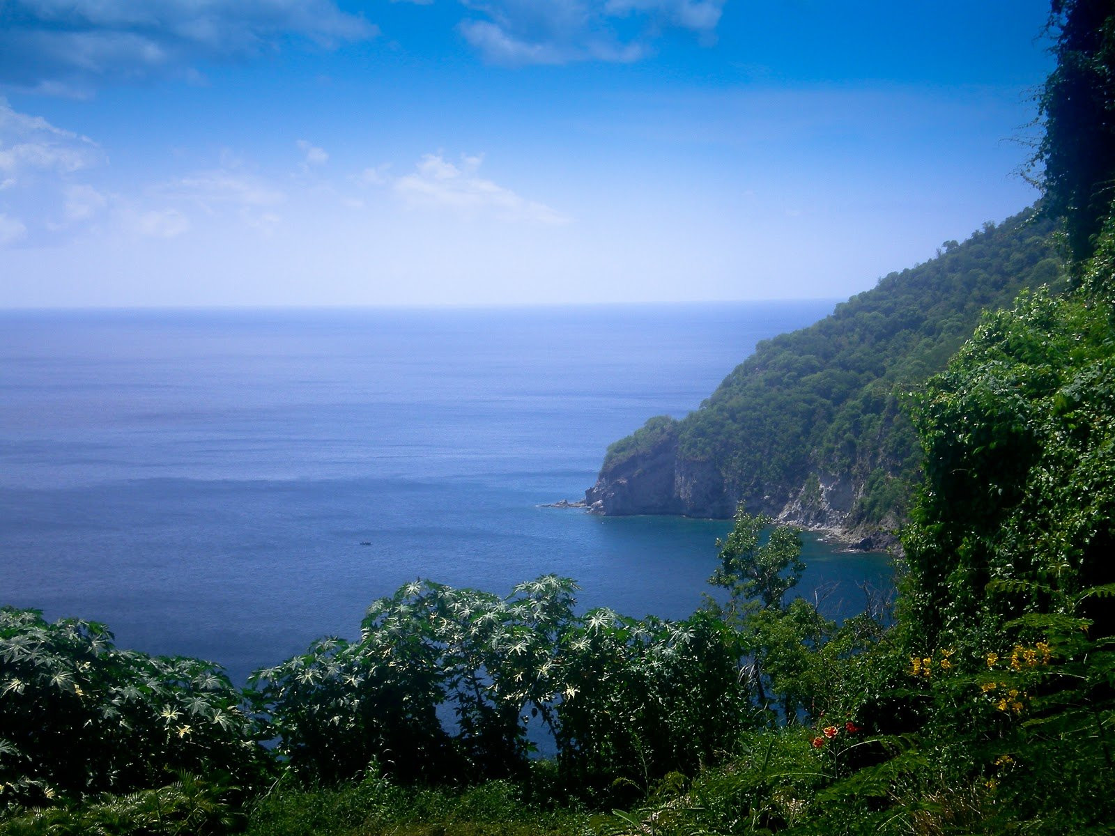 Гваделупа, фото № 3566 – фотографии Гваделупы