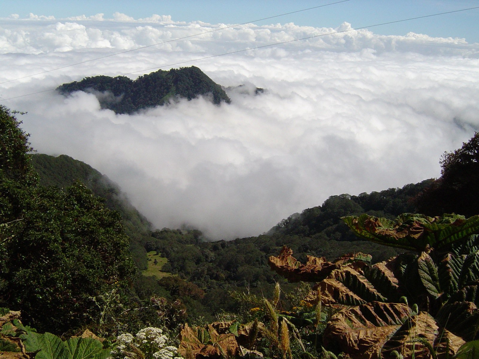 Турриалба Вулкано Национальный Парк, Картаго провинция, Коста-Рика, фото № 39147 – фотографии Коста-Рики