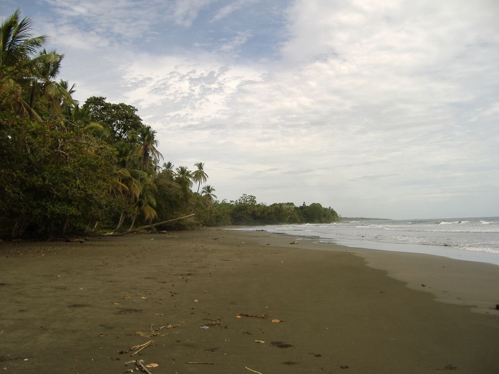 Кауита, Лимон провинция, Коста-Рика, фото № 40054 – фотографии Коста-Рики