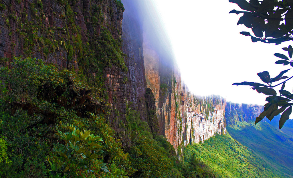 Гора Рорайма (Roraima), Венесуэла. Фото 1 – фотографии Венесуэлы