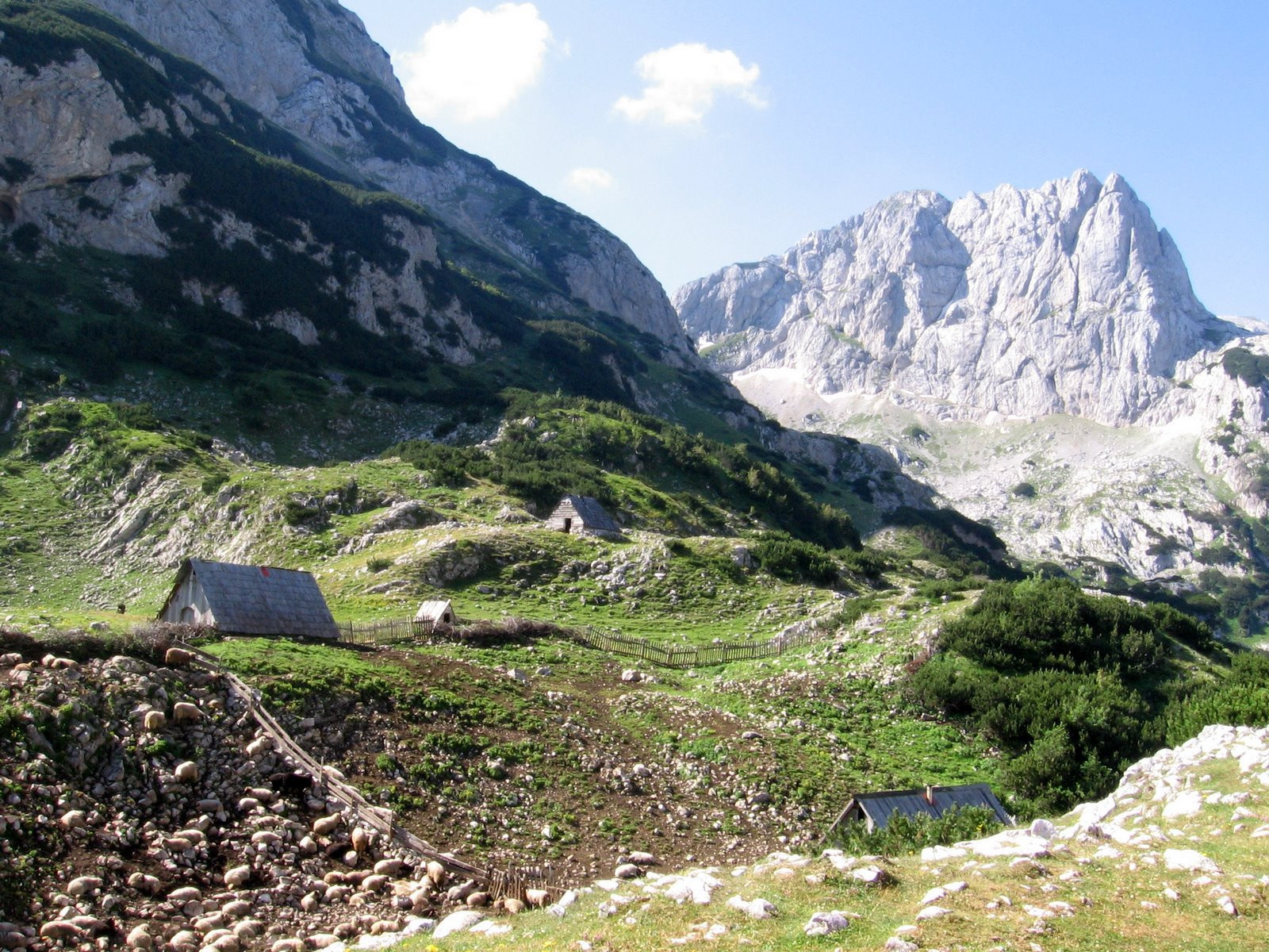 Национальный парк, Черногория. Фото 33 – фотографии Черногории