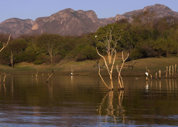 Масатлан, Мексика, фото № 43647 – фотографии Мексики