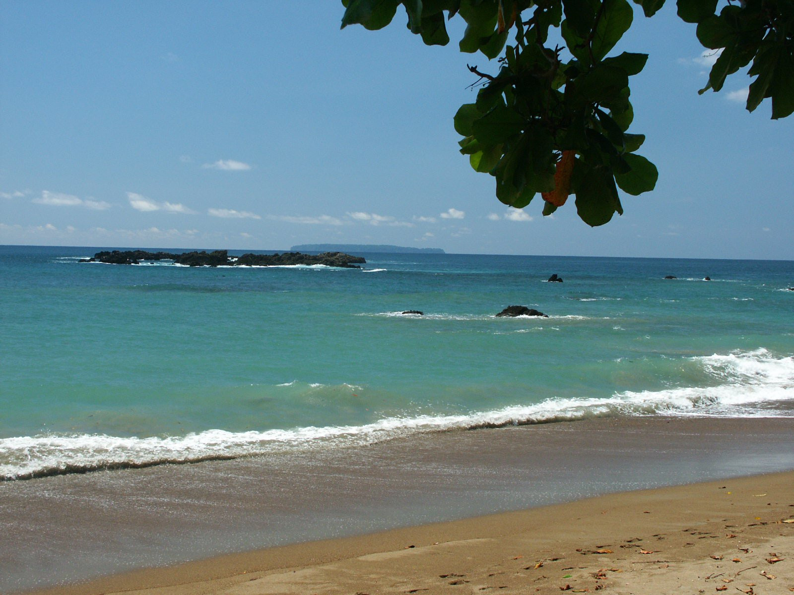Корковадо Национальный Парк, Пунтаренас провинция, Коста-Рика, фото № 40541 – фотографии Коста-Рики