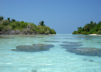 Море в Таа Атолл, Мальдивы. Фото 1 – фотографии Мальдивских островов