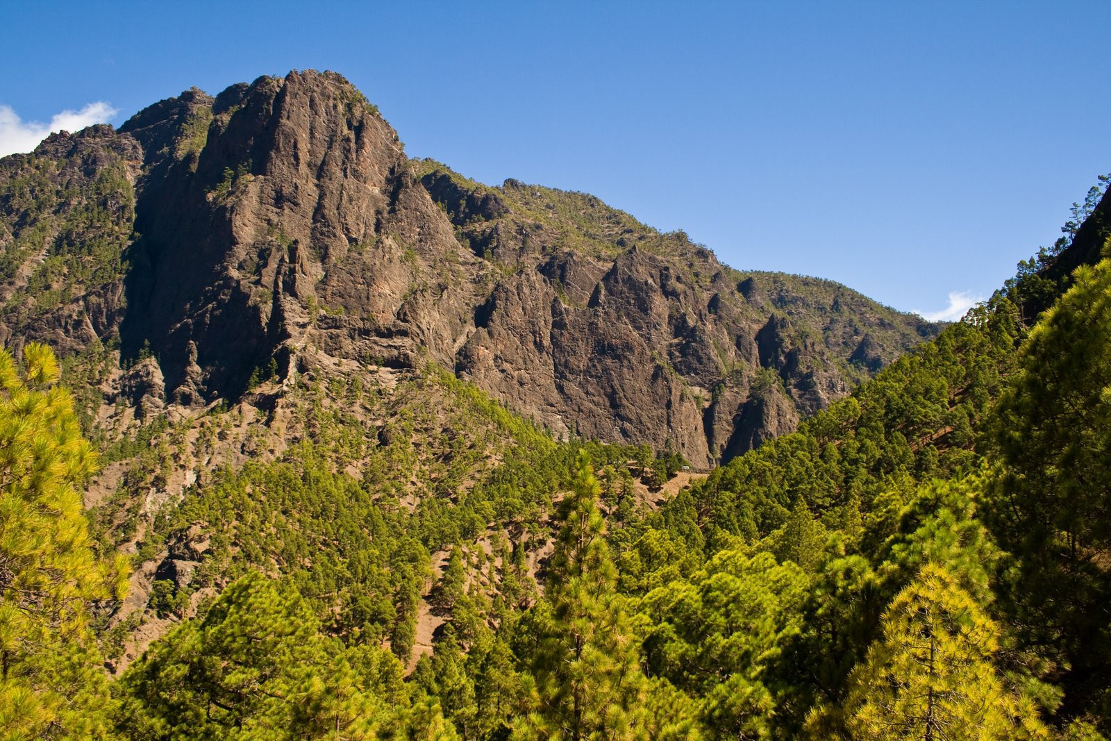 Ла-Пальма остров, Канарские острова, фото № 32024 – фотографии Канарских островов