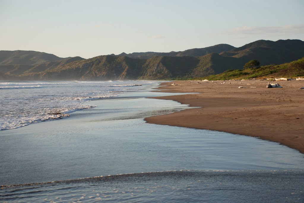 Санта Роза Национальный Парк, Гуанакасте провинция, Коста-Рика, фото № 39340 – фотографии Коста-Рики