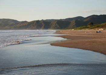 Санта Роза Национальный Парк, Гуанакасте провинция, Коста-Рика, фото № 39340 – фотографии Коста-Рики