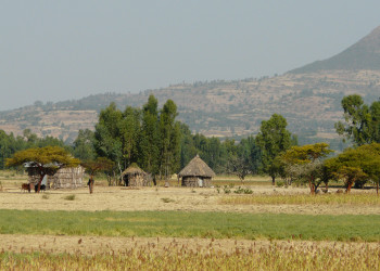 Природа на озере Тана, Эфиопия – фотографии Эфиопии